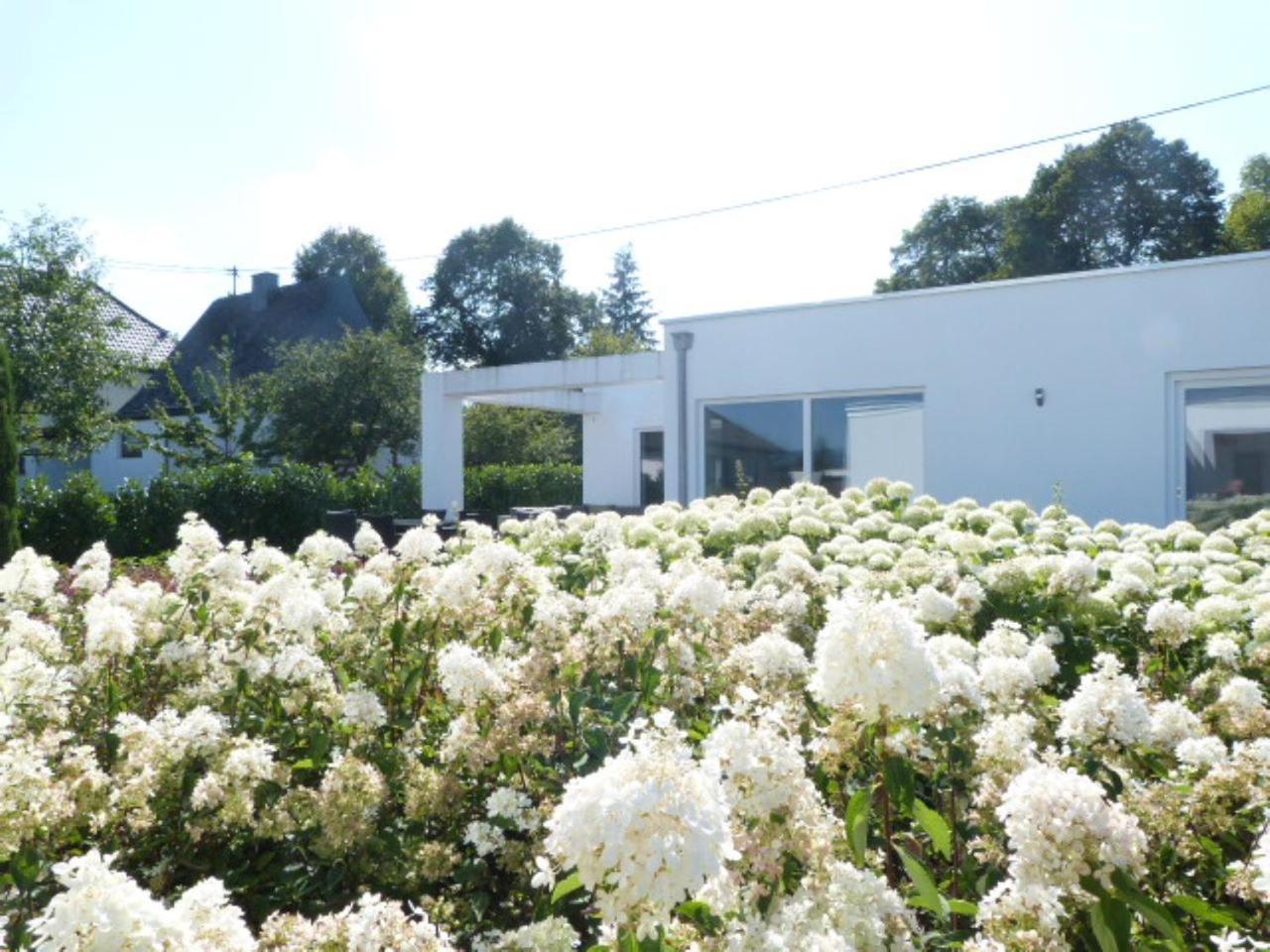 Villa Mosel Morbach Bagian luar foto