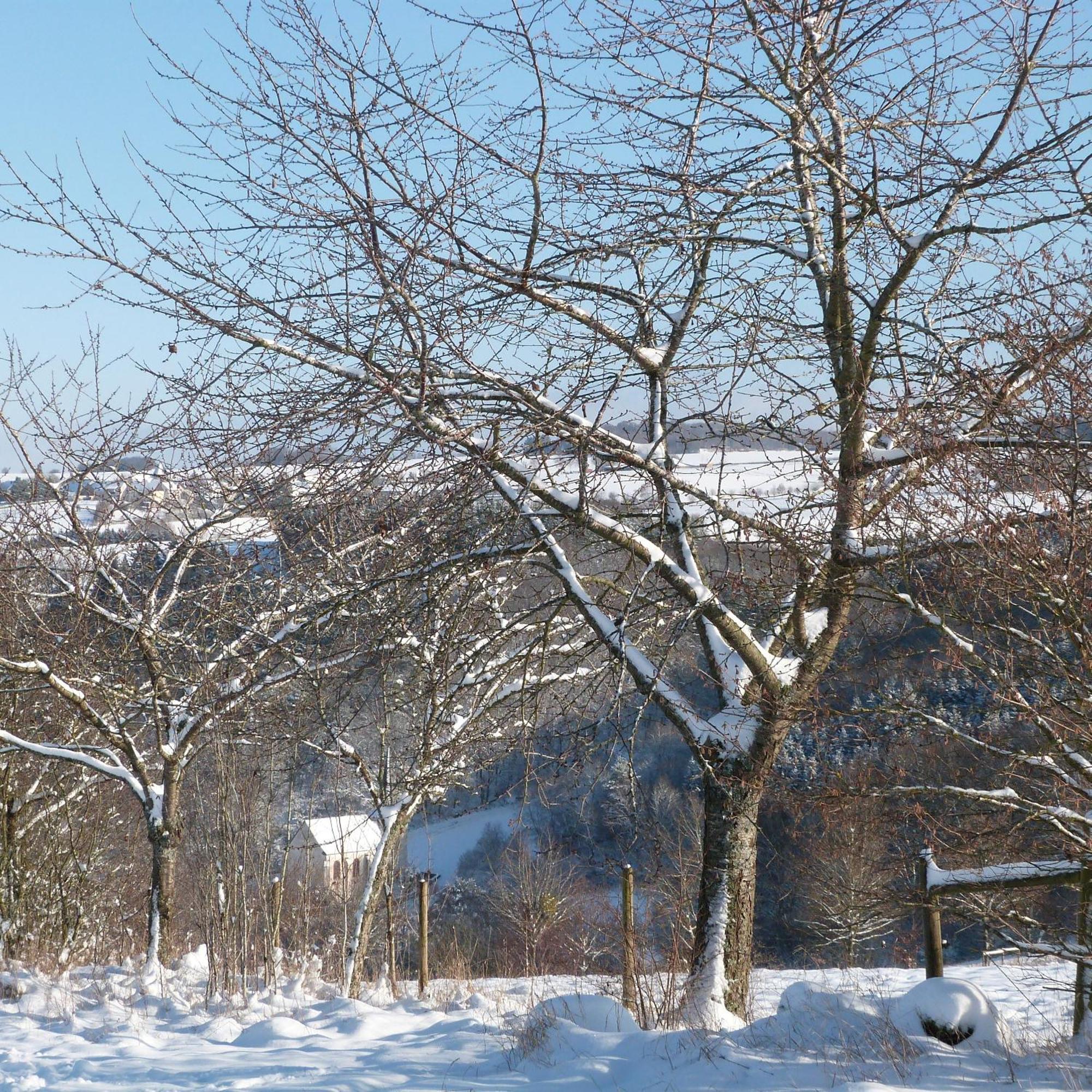 Villa Mosel Morbach Bagian luar foto
